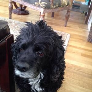 Meet your Posher, Nancy